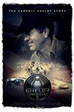 Watch Shelby American 2KMovies