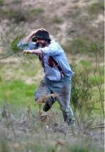 Watch Riot or Revolution: Eureka Stockade 1854 2KMovies
