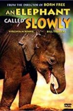 Watch An Elephant Called Slowly 2KMovies