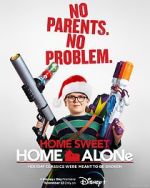 Watch Home Sweet Home Alone 2KMovies