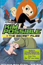 Watch "Kim Possible" Attack of the Killer Bebes 2KMovies