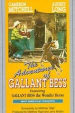 Watch Adventures of Gallant Bess 2KMovies