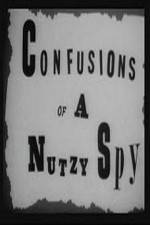 Watch Confusions of a Nutzy Spy 2KMovies