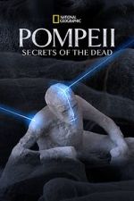 Watch Pompeii: Secrets of the Dead (TV Special 2019) 2KMovies