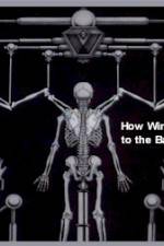 Watch How Wings Are Attached to the Backs of Angels 2KMovies