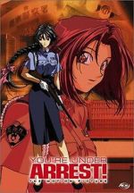 Watch You\'re Under Arrest: The Movie 2KMovies