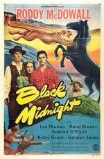 Watch Black Midnight 2KMovies