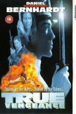Watch True Vengeance 2KMovies