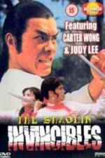 Watch Yong zheng ming zhang Shao Lin men 2KMovies