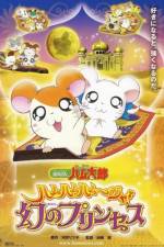 Watch Hamtaro: The Captive Princess 2KMovies