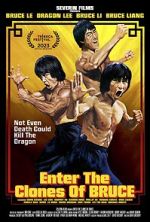 Watch Enter the Clones of Bruce 2KMovies