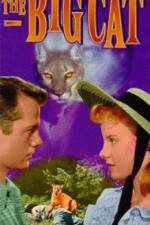 Watch The Big Cat 2KMovies