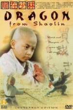 Watch Long zai Shaolin 2KMovies