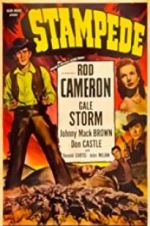 Watch Stampede 2KMovies