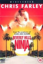 Watch Beverly Hills Ninja 2KMovies