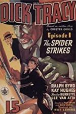Watch Dick Tracy 2KMovies
