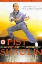 Watch Huang Fei Hong zhi nan er dang bao guo 2KMovies