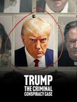 Watch Trump: The Criminal Conspiracy Case 2KMovies