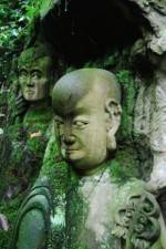 Watch The Thousand Years Old Man (  ) 2KMovies