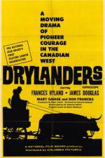 Watch Drylanders 2KMovies