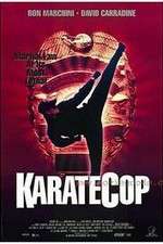 Watch Karate Cop 2KMovies