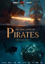Watch The True Story of Pirates 2KMovies