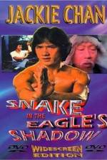 Watch Bruce Vs. Snake In Eagle's Shadow 2KMovies