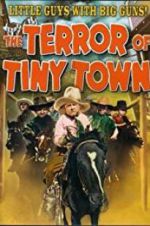 Watch The Terror of Tiny Town 2KMovies