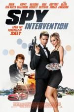 Watch Spy Intervention 2KMovies