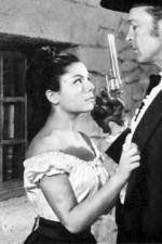 Watch The Savage Gun 2KMovies