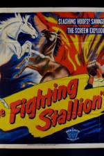 Watch The Fighting Stallion 2KMovies