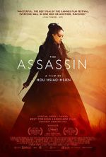 Watch The Assassin 2KMovies