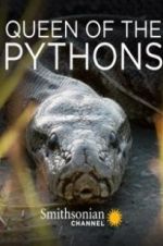 Watch Queen of the Pythons 2KMovies