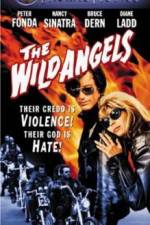 Watch The Wild Angels 2KMovies