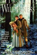 Watch Miracle in the Wilderness 2KMovies
