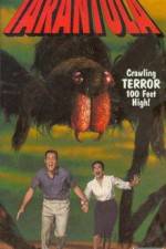 Watch Tarantula 2KMovies