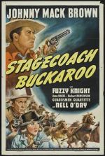 Watch Stagecoach Buckaroo 2KMovies