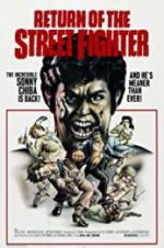 Watch Return of the Street Fighter 2KMovies