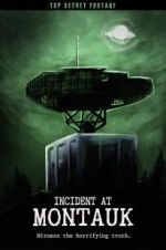 Watch Incident at Montauk 2KMovies