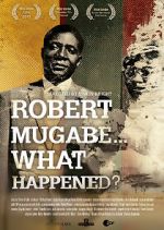Watch Robert Mugabe... What Happened? 2KMovies