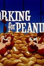 Watch Working For Peanuts 2KMovies