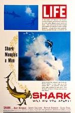 Watch Shark 2KMovies