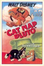 Watch Cat Nap Pluto 2KMovies