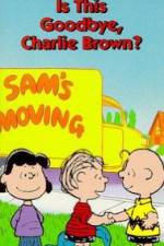Watch Is This Goodbye Charlie Brown 2KMovies