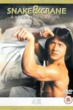 Watch Snake & Crane Arts Of Shaolin 2KMovies