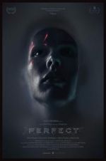 Watch Perfect 2KMovies