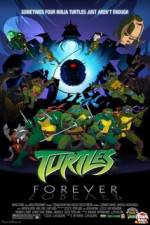 Watch Teenage Mutant Ninja Turtles Turtles Forever 2KMovies