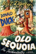 Watch Old Sequoia 2KMovies